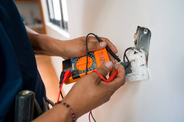 Best Electric Panel Repair  in Treasure Island, FL